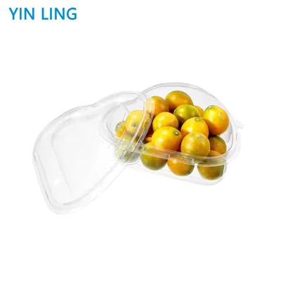 Puis-je utiliser des contenants en plastique pour fruits pour conserver des fruits secs ?